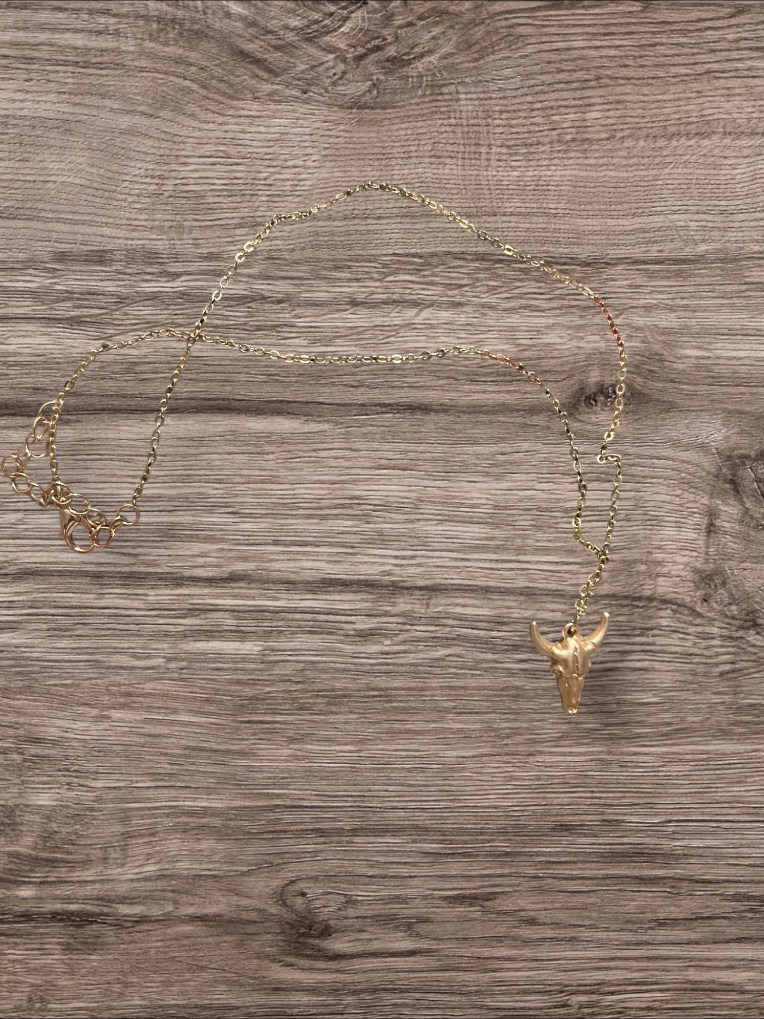 Steer Head necklace