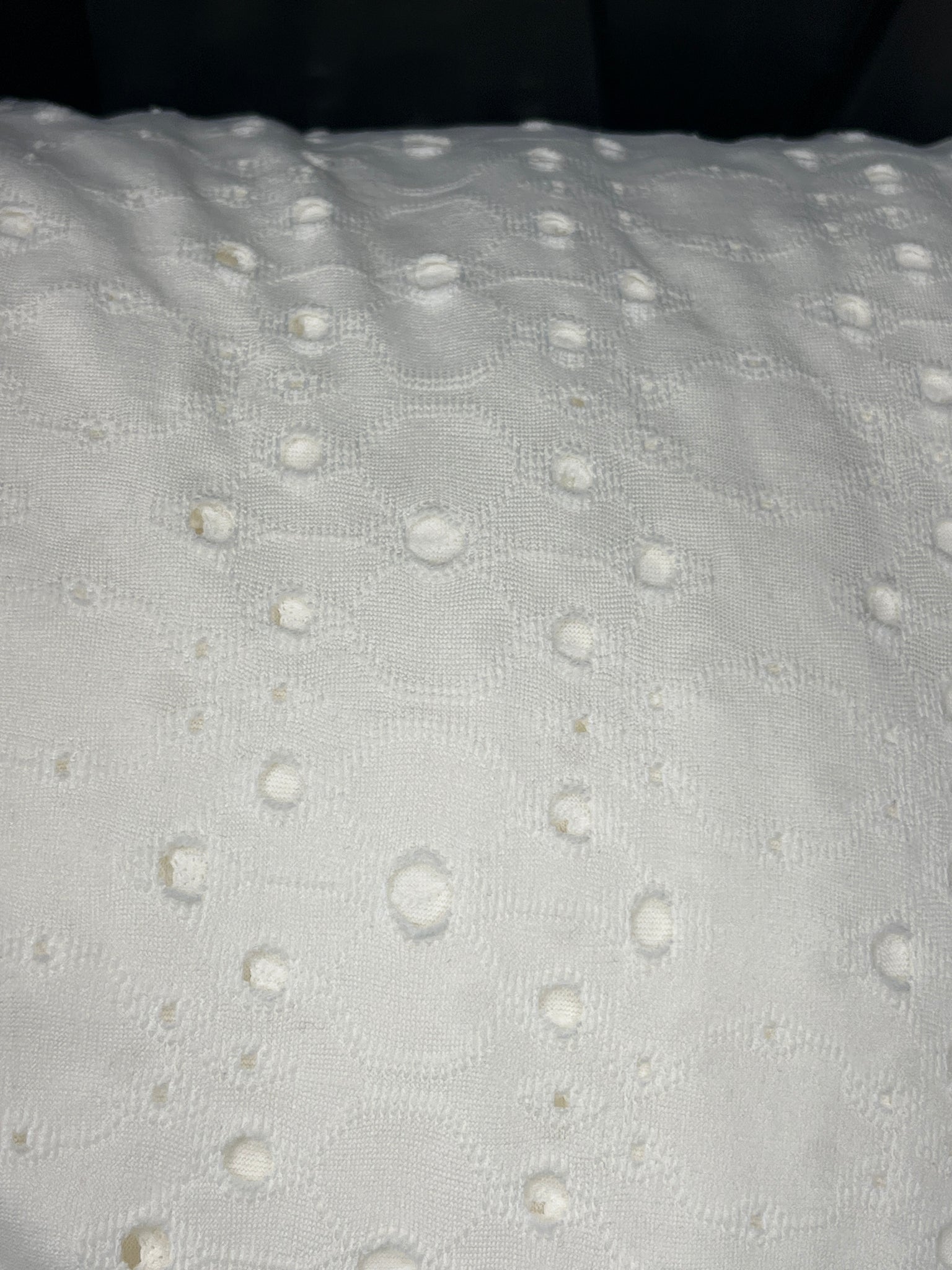 Ruffle sleeve eyelet top