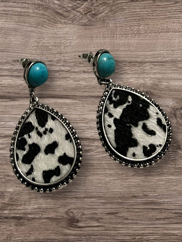 Turquoise cow print earrings