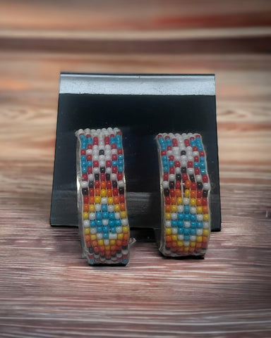 Multi color seed bead earrings